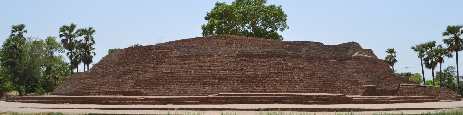 TOP Image